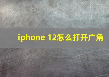 iphone 12怎么打开广角